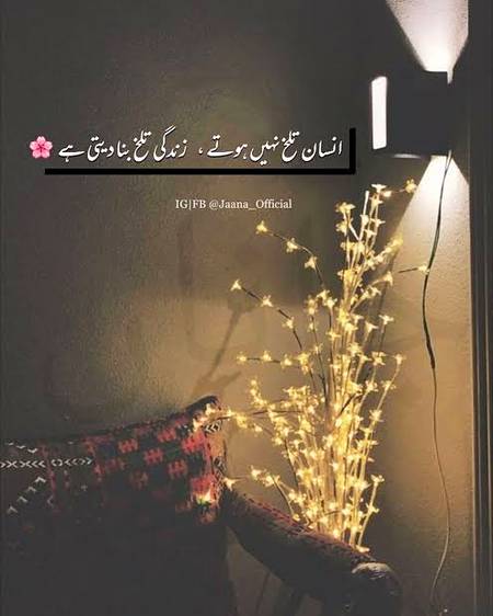 انسان تلخ نہیں ہوتے زندگی انہیں تلخ بنا دیتی ہے