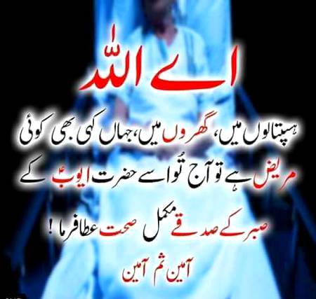 🌹🌹🌹صلی اللہ علی حبیبہ محمد نور من نوراللہ وعلی آلہ واہل بیتہ وعترتہ وازواجہ وصحبہ وجدہ وذریتہ و کل امتہ وبارک وسلم کثیراً کثیرا و دائماً ابدا 🌹🌹🌹