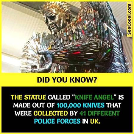 DID YOU KNOW??