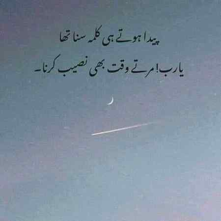 Sending by fareed ahmed shaikh