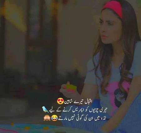 ___yei to hoga ab luddo main😋