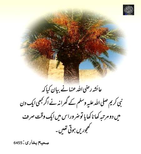 SubhanAllah💖💖💖💖💖