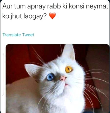 Indeed Allah is the best creator ...... 😍😍😍😍😍😍