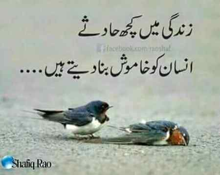 💘💘 wajeeha 💘💘