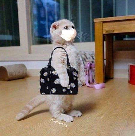 Ham Aaj shopping ke liye ja rahi hai aaja Sath Chale