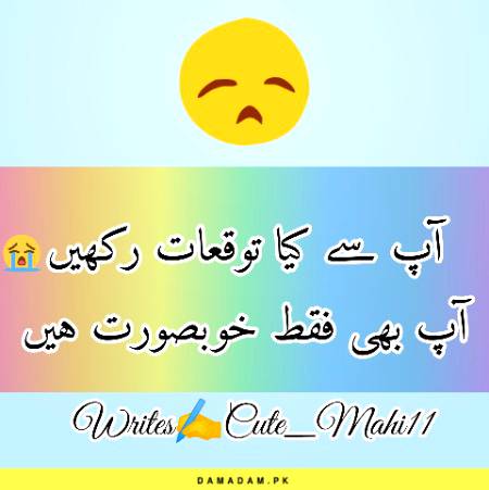 آپ سے کیا توقعات رکھیں
آپ بھی فقط خوبصورت ہیں