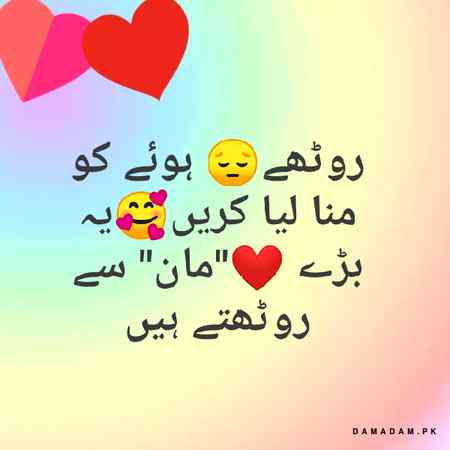 یہ مانا کہ تم سے خفا ہیں ذرا ہم💔 
مگر زندگی سے بھی روٹھے ہوئے ہیں🙃