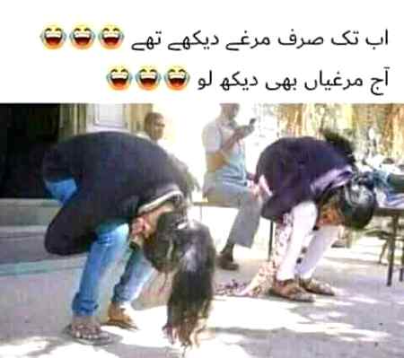 Sach sach btao kon kon murghi bani hai