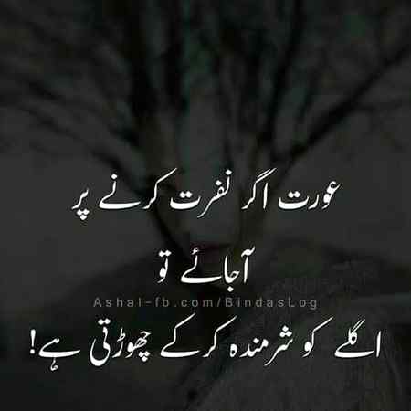 عورت کی محبت نہیں نفرت سے ڈرو 
جب وہ نفرت کرتی ہے تو تمہارے حق میں کی گئی دعائیں بھی چھین لیتی ہے🔥😏