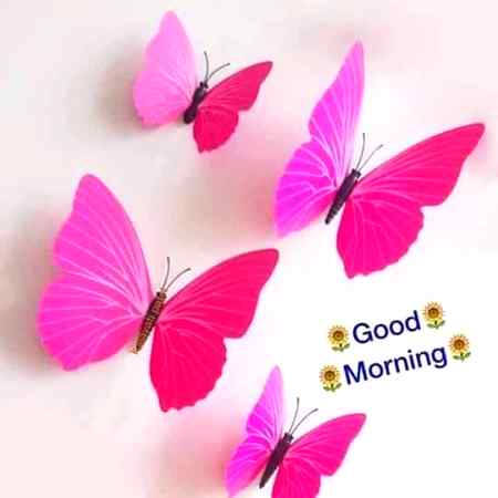 🌹اَلسَّلاَمْ عَلَيْـــــلیکُمْ ورحمۃ الله  
  وبرکاته 🌹صبـــح بخیـــر زندگی

کوئی بھی انسان برانہیں ہوتا اسے اردگرد کا ماحول

یہ معاشرہ
اور حالات برا بنا دیتے ہیں اس لئے کبھی برائی کرنے والے سے نفرت مت کرو

ہمیشہ برائی کو برا جانو

اور اسکی براءئی کو اپنے اچھے رویے اور

عمل سے ختم کرنے کی کوشش کرو