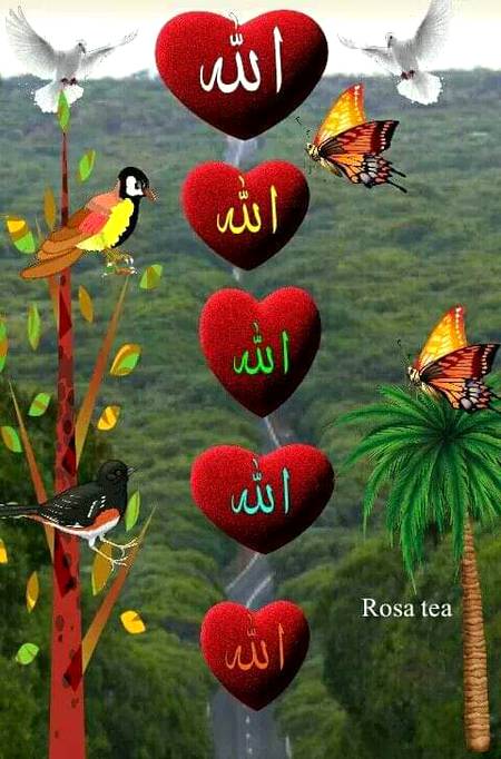 Allah hamay is waba say bachaye