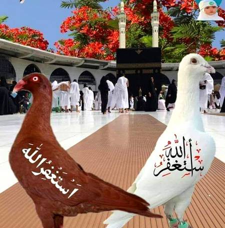 Very nice dakhny walo ... 👌👌👌👌👌👌👏👏👏👏