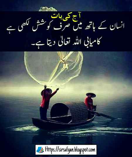hlo friends