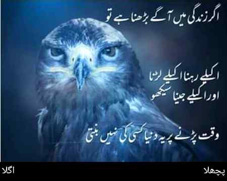 Absoluetly right