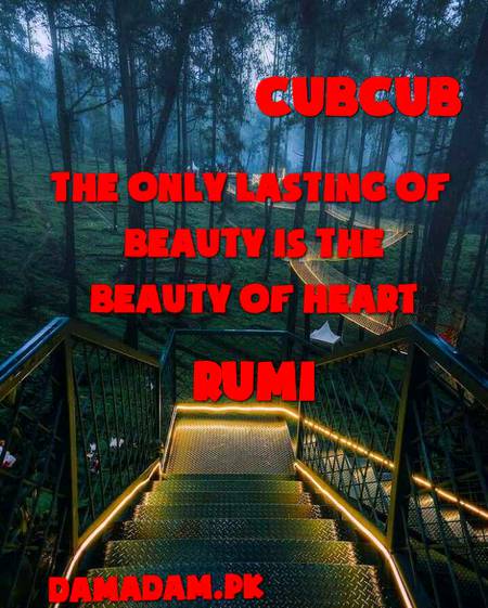 RUMI'S WORDS