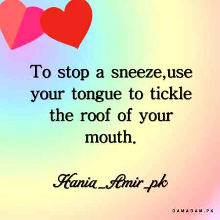 to stop a sneeze..