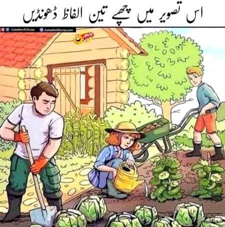 Dhoondain 3 alfaaz.