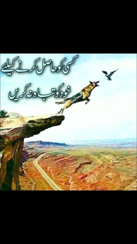 غیروں میں بٹتی رہی تیری گفتگو کی چاشنی
تیری ااواز جن کا رزق تھا وہ فاقوں سے مر گٕے