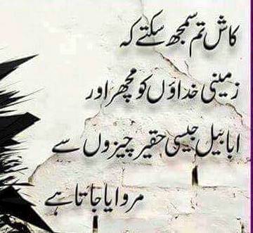 🌹🌹🌹صلی اللہ علی حبیبہ محمد نور من نوراللہ وعلی آلہ واہل بیتہ وعترتہ وازواجہ وصحبہ وجدہ وذریتہ و کل امتہ وبارک وسلم کثیراً کثیرا و دائماً ابدا 🌹🌹🌹