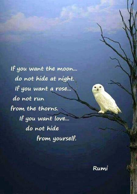 RUMI'S WORDS