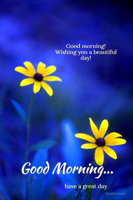 .q5 Good m0rninG