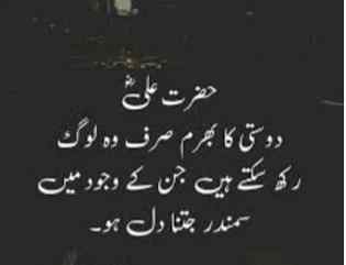 hlo friends