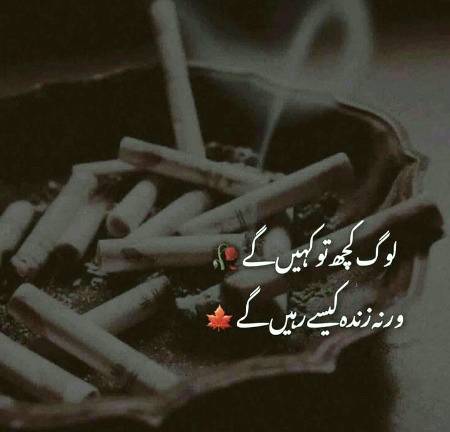 Log Kia kahenge 🔥