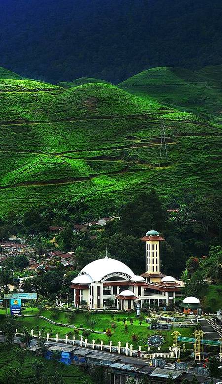 Located at puncak pass cianjur west java.