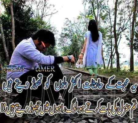 hlo friends