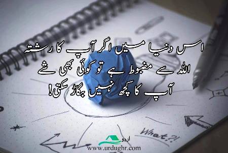 Bilkul 💯💯💯💯💯