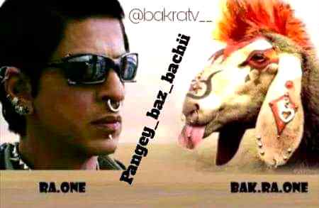 Right friends