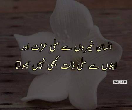 Beshak By: Zaki Ansari