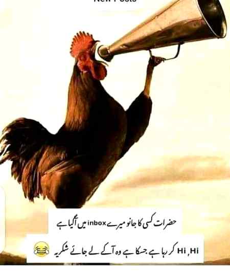 Jis ka hai ak ly jay