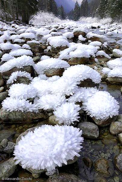 Amazing ice flower