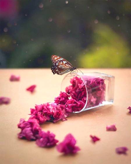 جو ماں اپنے بچوں کو غیبت سے نہ روکے بلکہ خاموشی سے ان کو سنتی رہے 
وہ یقینا خود بھی اس فعل میں آسانی سے involve  ہوتی ہے 
چاہے مانے یا نہ مانے۔ 

یاد رکھیۓ ! جو انسان  آپ سے دوسروں کی برائیاں کرتا ہے 
وہ کسی اور سے ضرور آپ کی برائی کرتا ہے۔ 

محتاط رہیۓ۔ 

Safe yourself from backbiting.