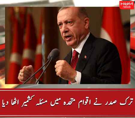 ...Tayyab erdogan...