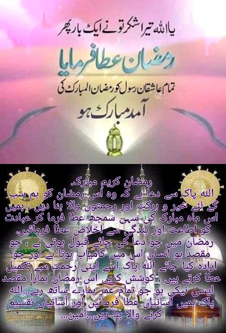 🌹🌹🌹صلی اللہ علی حبیبہ محمد نور من نوراللہ وعلی آلہ واہل بیتہ وعترتہ وازواجہ وصحبہ وجدہ وذریتہ و کل امتہ وبارک وسلم کثیراً کثیرا و دائماً ابدا 🌹🌹🌹