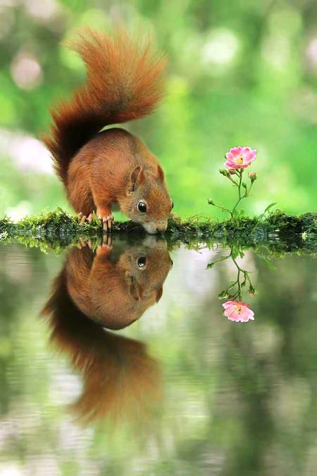 Amazing 👌🏻 cute pic