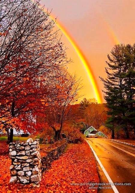 Double Rainbow ❤❤