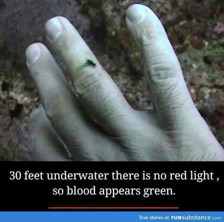 DID YOU KNOW??