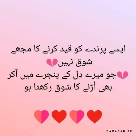.a2😊😊😊.a2 exectlly.