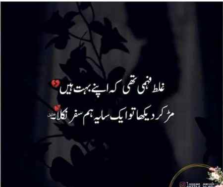 💥💫💥💫💥💫💥💫💥