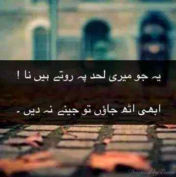 🍁Zoq_Shab🍁