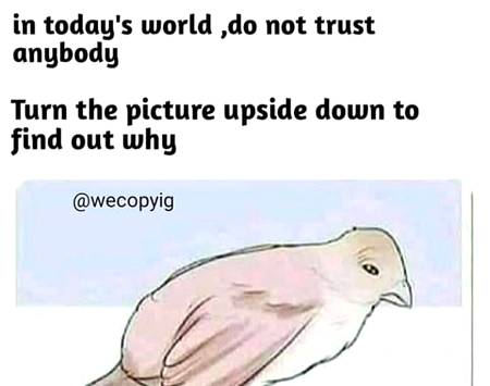 You trusted wrong person lol