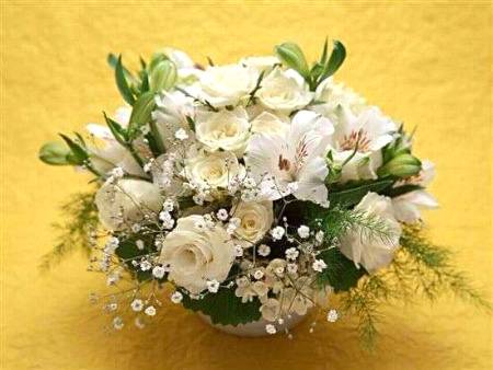 Beauty of flower 💚💚💚💚