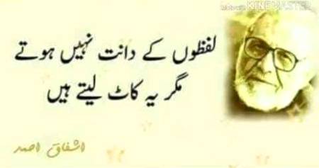 Hmm bilkul😐