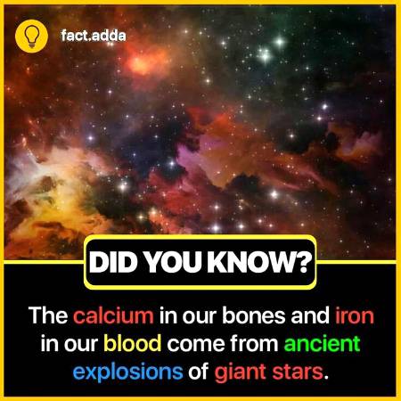 Did you know