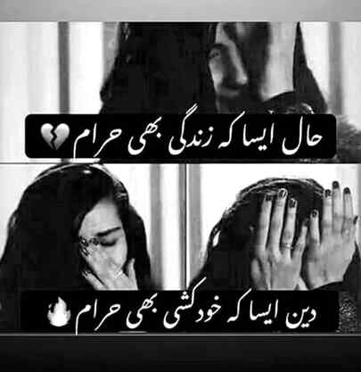 Hal esa k.....😥😥😥😥😥😥