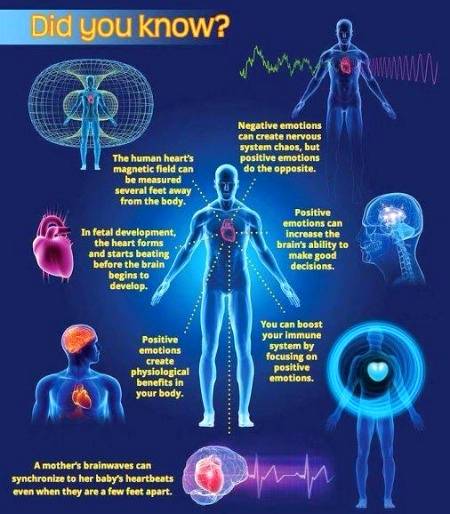 Human electromagnetic field