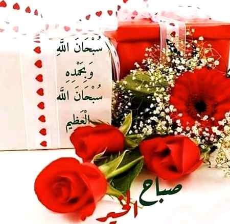 🌹اَلسَلامُ عَلَيْكُم وَرَحْمَةُ اَللهِ وَبَرَكاتُهُ 🌹
اللہ سبحانہ تعالی سے دعا ہے کہ وہ ہمیں با ایمان اس دنیا میں رکھے۔ اور با ایمان ہی اس دنیا سے رخصت ہوں۔ دونوں جہانوں میں فقط خیر ہی خیر ہو۔
🌹آمین ثم آمین یا رب العالمین🌹
🌹صباح النور و الخیر🌹
